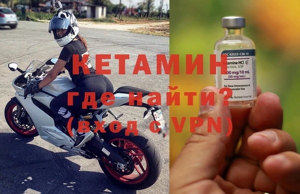 амф Дмитриев