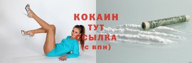 прущая мука Дмитровск