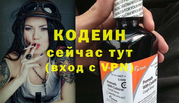 амф Дмитриев
