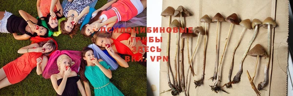 прущая мука Дмитровск
